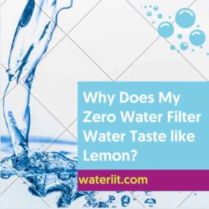 why zero water filter taste like lemon